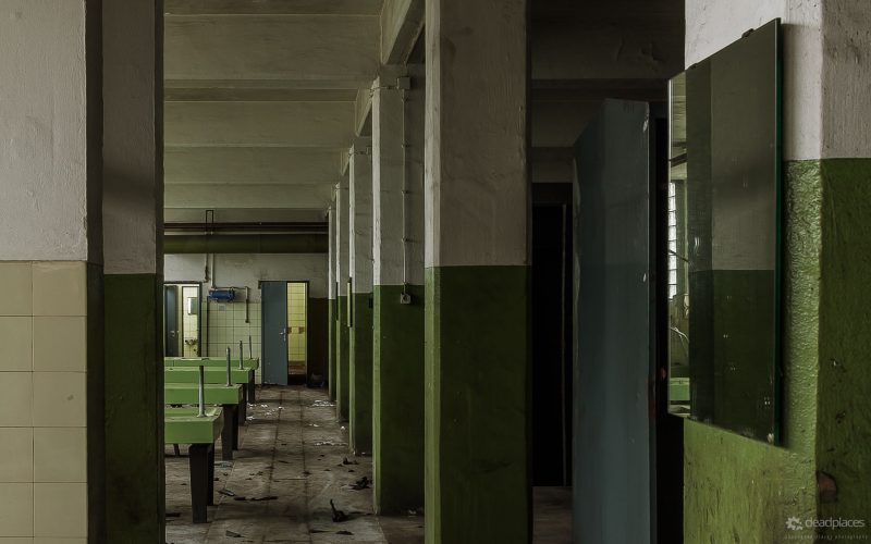 Antwort auf alle Fragen